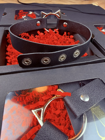 Choker eko skóra - kotek - srebrny